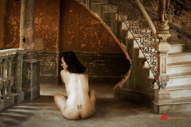 DM39943bcd 960x640 640x480