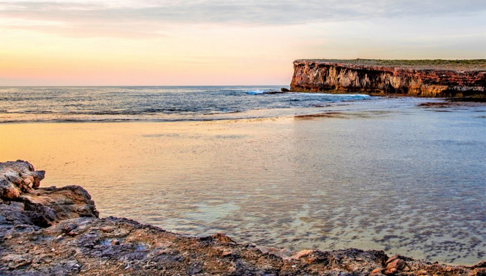 5dm35744 wall paper 50 1536x873 (1)