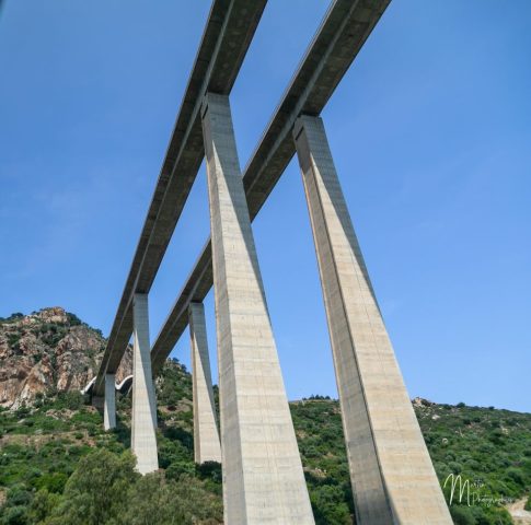 5DM46259 960x951 640x480