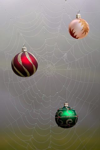 Christmas Decorations 640x480