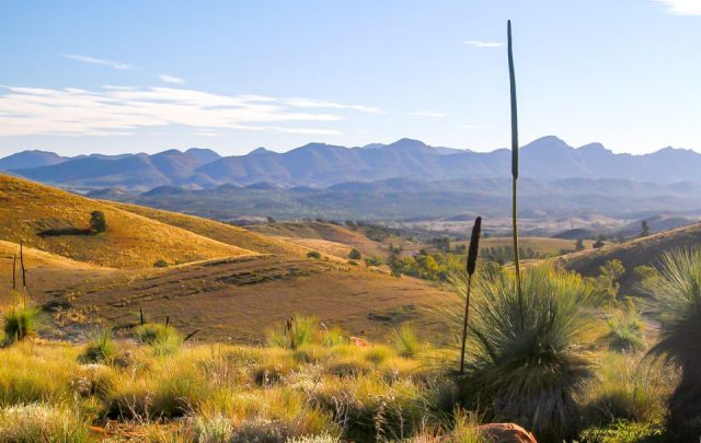 wilpena pound